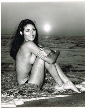Pamela Hensley Naked 51